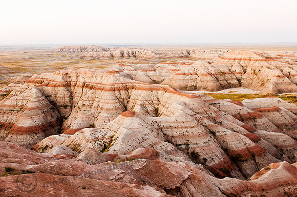 image74104, FA