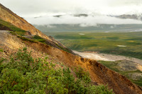 image-98520, fa, 12