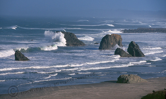 Bandon Beach 4
