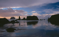 Bandon Beach 13