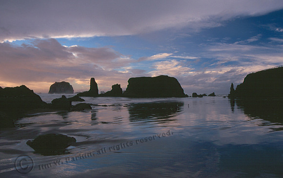 Bandon Beach 13