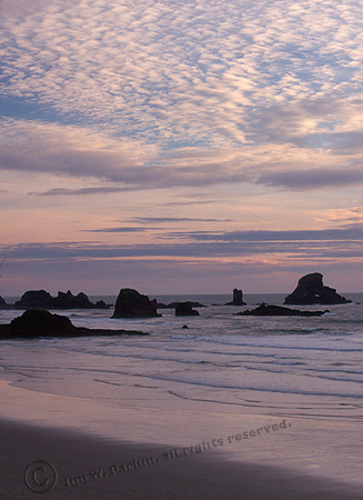 Cannon Beach 11