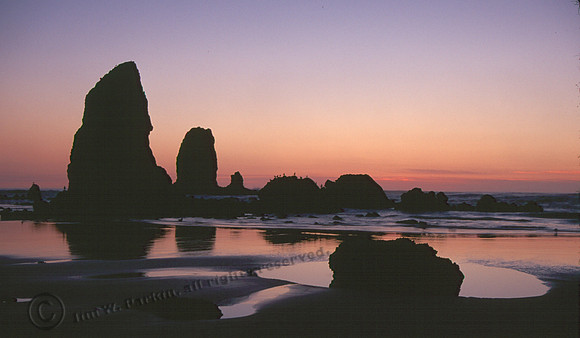 Cannon Beach 21