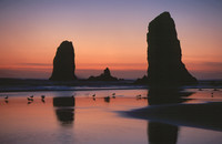 Cannon Beach 25
