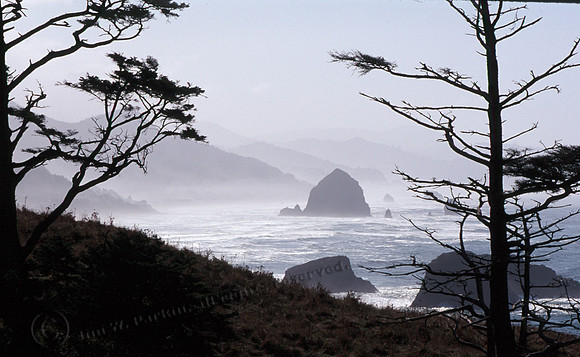 Cannon Beach 31