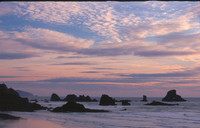 Cannon Beach 14