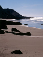 Cape Perpetua 5