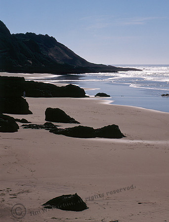 Cape Perpetua 5