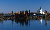 Coquille River Lths 6