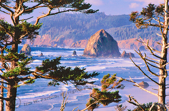 Cannon Beach 33