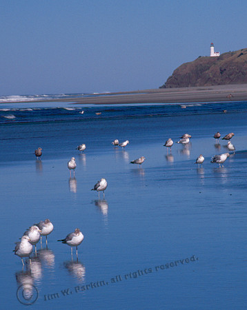 Oregon Lighthouse 5