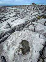 image-123035