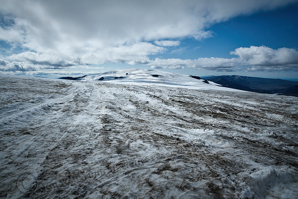 _DSC3094