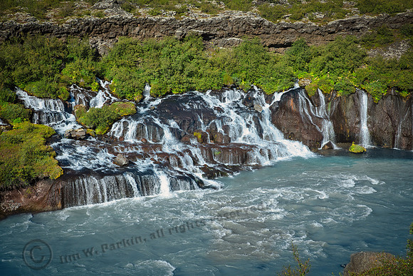 _DSC3129