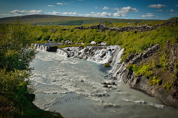 _DSC3154