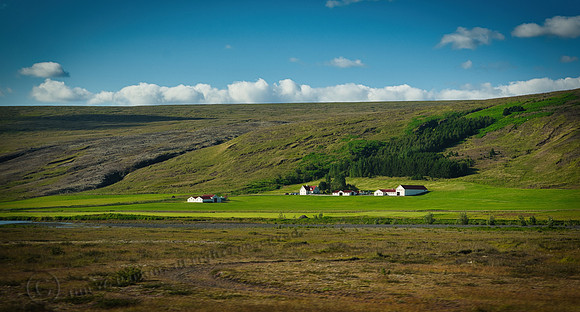 _DSC3168