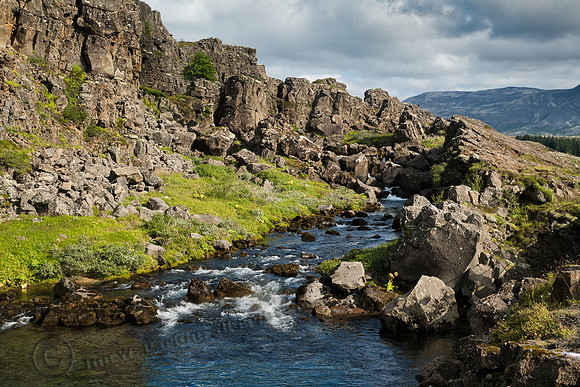 _DSC3204