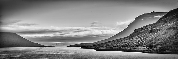 _DSC3293_bw