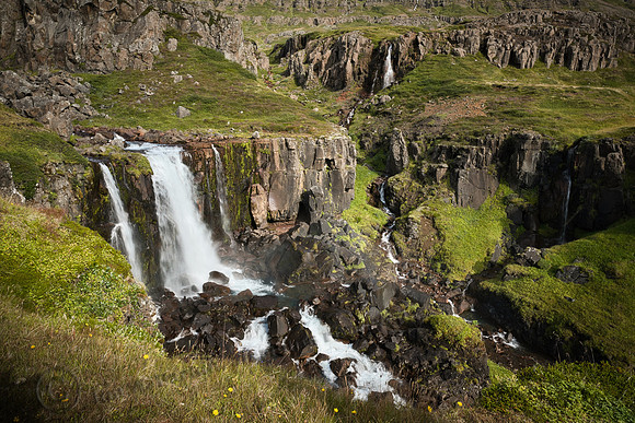 _DSC3358