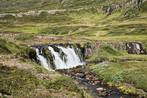 _DSC3440