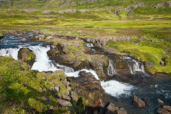 _DSC3460