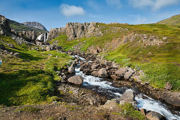 _DSC3474
