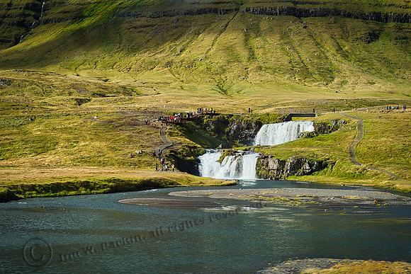 _DSC3768