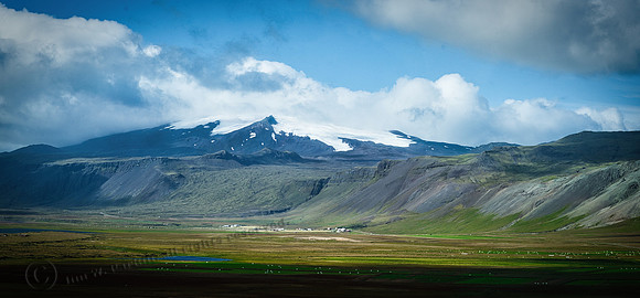 _DSC3834