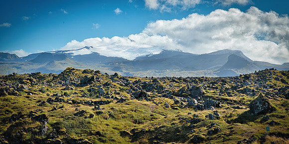 _DSC3988