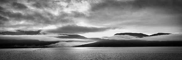 _DSC3511_bw