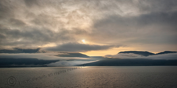 _DSC3511