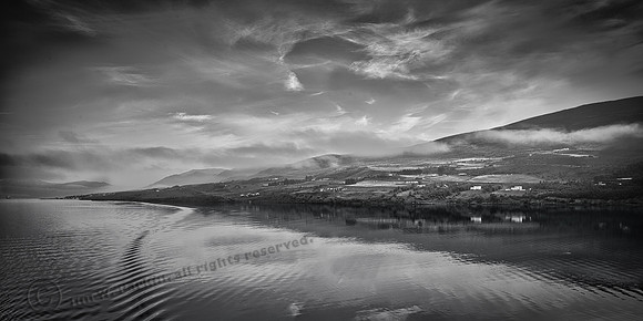 _DSC3524_bw