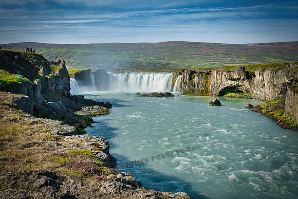 _DSC3534