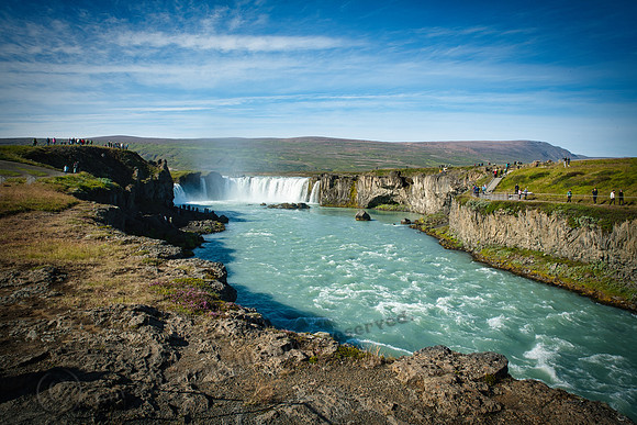_DSC3544