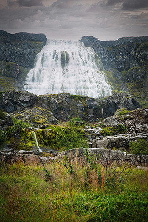 _DSC3712