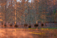 Cypress Sunrise 1