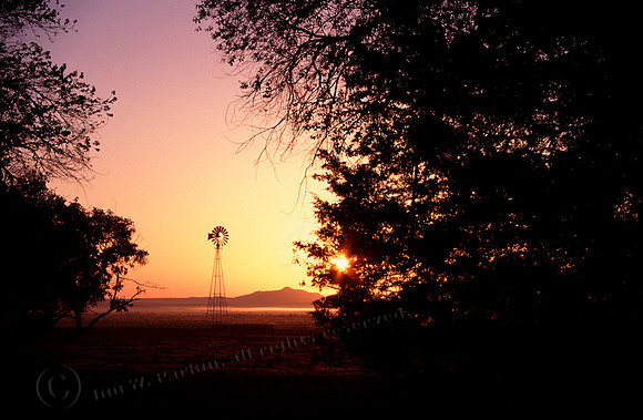 Windmill & Trees, FA