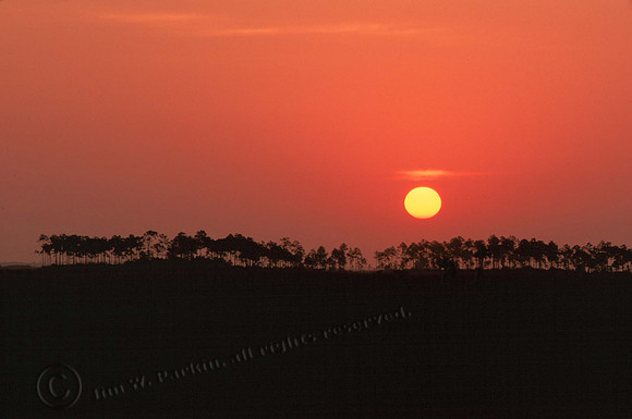 egnp sunrise 1 copy