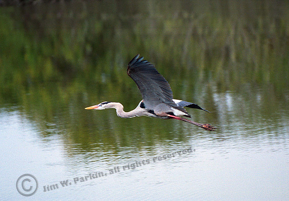 gbh 67,FL12_15