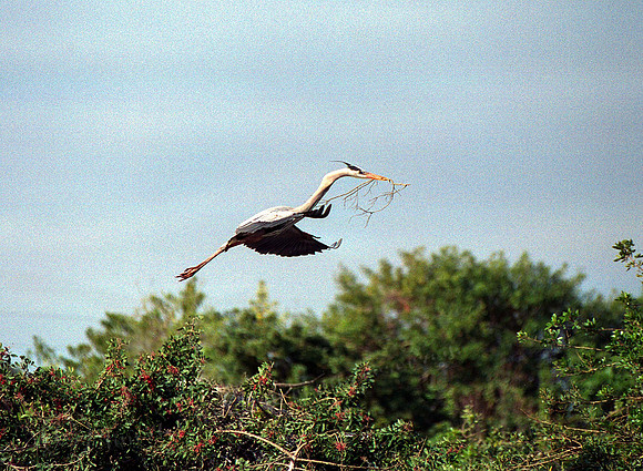 gbh 65,FL12_10