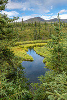 image-98928, fa,12