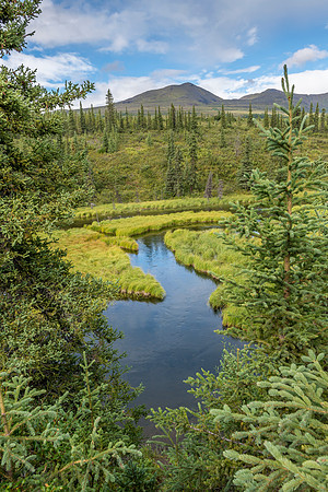image-98928, fa,12