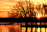 Lake Fryer, Sunrise, FA