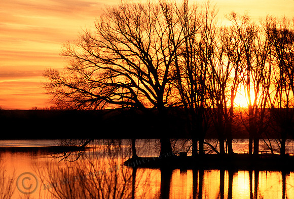 Lake Fryer, Sunrise, FA