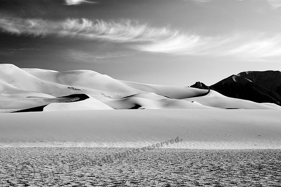 image_3292bw, sub