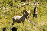 Image28659, fa