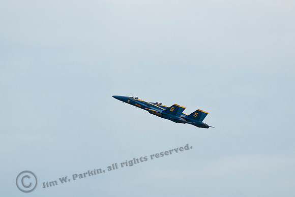 image77657