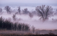 Fog, canadian River Valley, FA