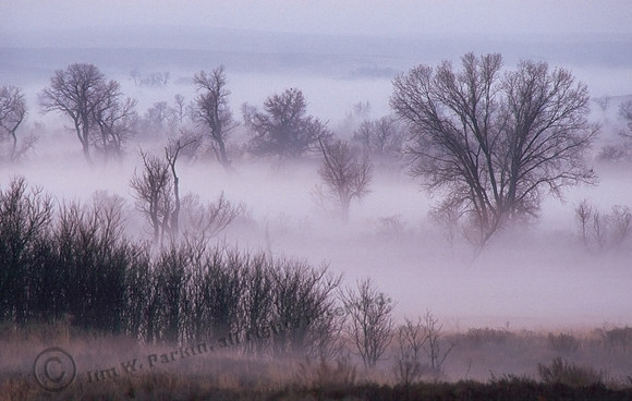 Fog, canadian River Valley, FA