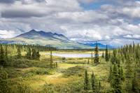 image-98867, fa,12